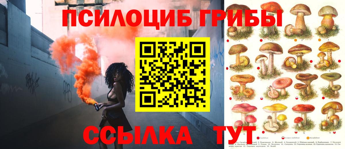 Ачхой-Мартан  купить закладку  Вход с VPN  Псилоцибиновые грибы ЛСД 